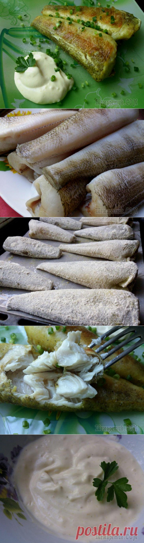 Нототения в прованских травах и соусом айоли