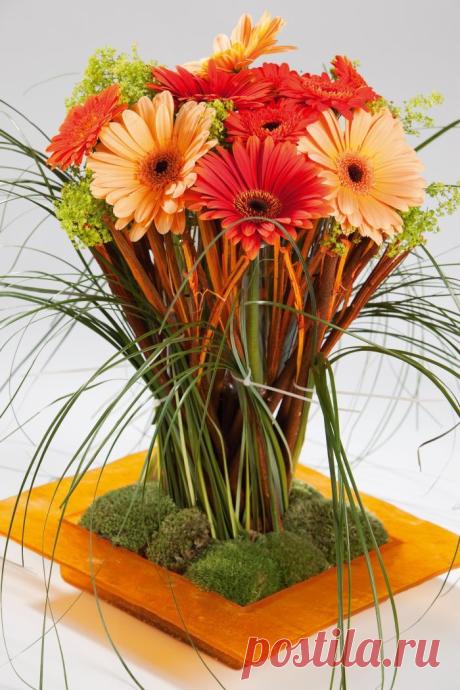 Coloured by Gerbera from Holland.(XL-Post)