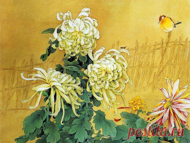 ЦветочноПернатое|Zou Chuan An.