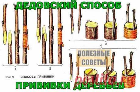 (61) Одноклассники