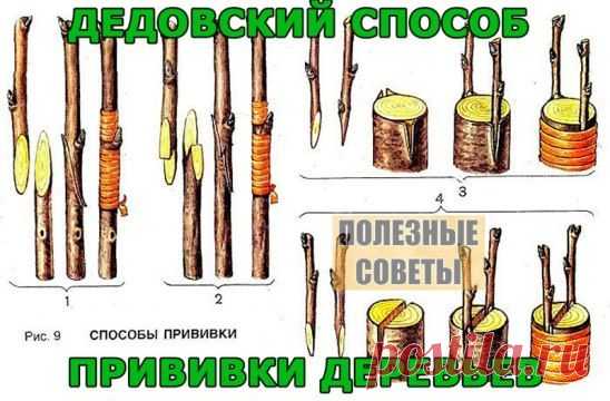 (61) Одноклассники