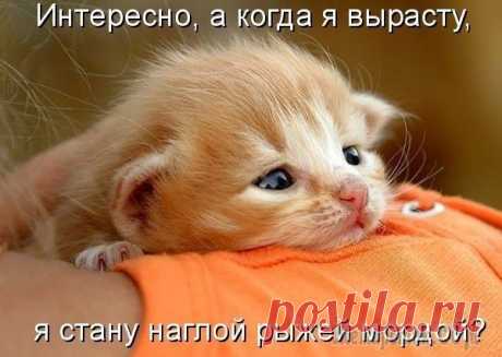 Давай улыбнемся!