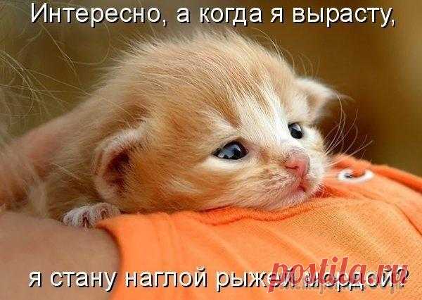 Давай улыбнемся!