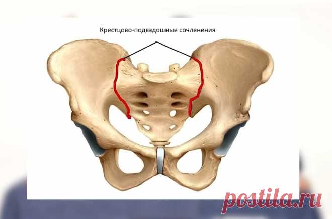 Болит поясница? Делаем упражнения для КПС! Крестцово-подвздошное сочленение и его функции | Станислав Черноног. Школа здоровья | Дзен