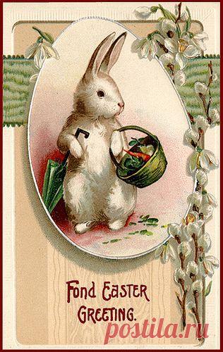 Найдено на сайте flickriver.com.