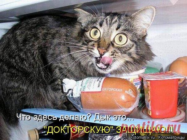 МУП Североморские Теплосети