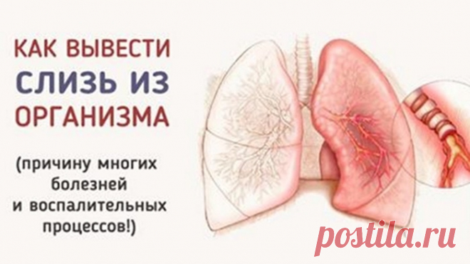 Простые способы избавления от слизи в организме. 

Самым эффективным методом, который помогает вывести данный секрет, является употребление этого простого ингредиента! 
Впервые слизь в нашем организме образуется еще в раннем детстве тогда, когда мы съедаем что-то вареное. По мере того как мы растем, слизь накапливается и заполняет все полости нашего тела. 

Самым «любимым» местом скопления для слизи являются: 

легкие, 
бронхи, 
желудок. 

Когда ее собирается слишком много...