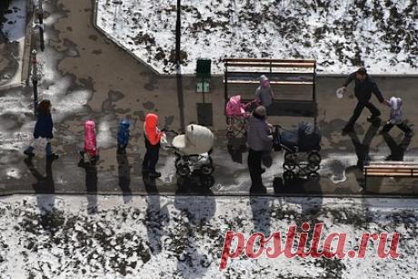 Политолог назвала слагаемые крепкой семьи. Самые крепкие и счастливые семьи складываются не под давлением обстоятельств («в одиночку не прожить») и не под воздействием общественного мнения («так надо»), а совсем по другим причинам. Семья получается, когда люди любят друг друга и хотят прожить вместе жизнь, будучи друг другу главной опорой и поддержкой.