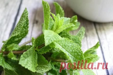 Народные советы, что делать если болит голова?