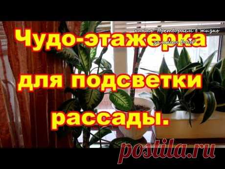 Чудо этажерка для выращивания рассады на окне с подсветкой