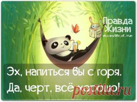 Фразочки в картинках