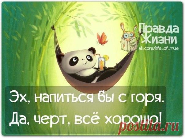 Фразочки в картинках