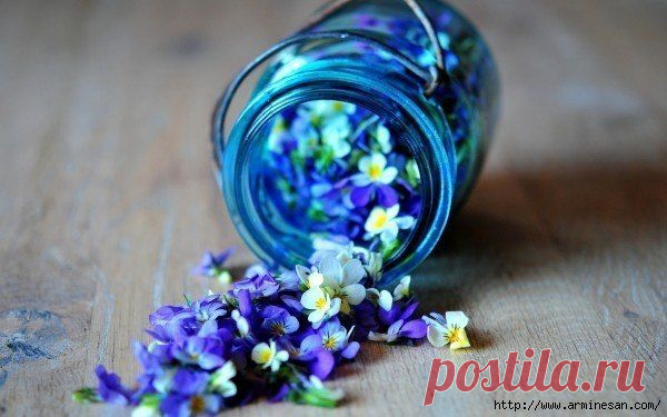Как создать потрясающий цветочный запах в комнате?