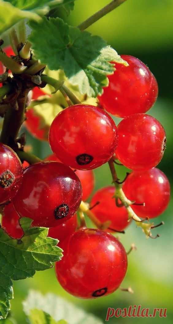 Дорогие друзья, мы снова встречаемся 10 мая в 18.00 по московскому времени! Предлагаю написать вместе со мной картину 