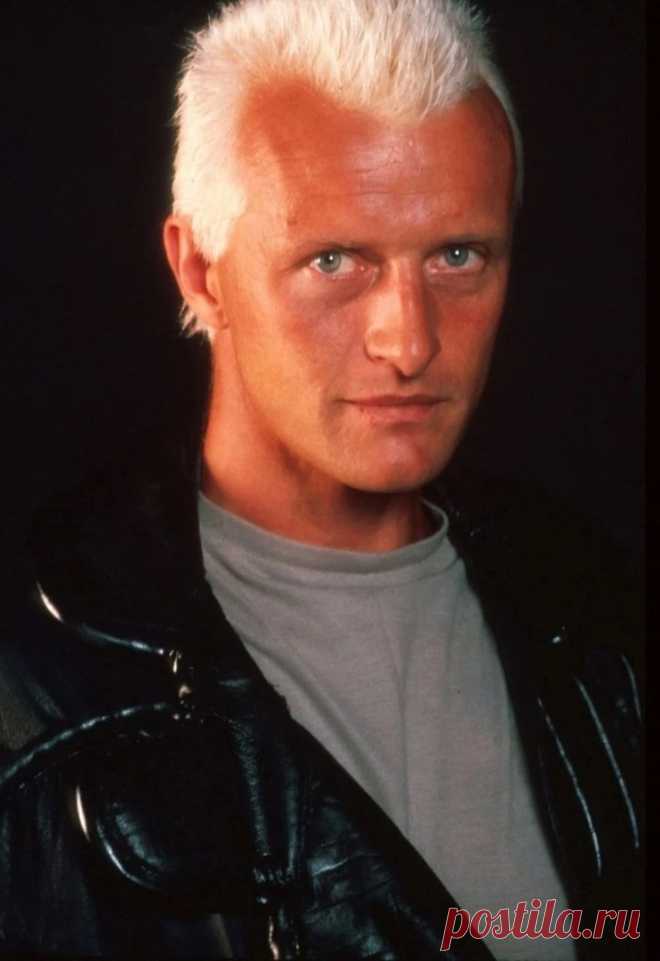 Рутгер Хауэр