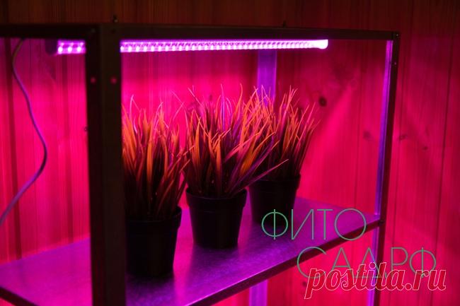 Стеллаж для рассады купить Стеллаж для рассады купить недорого