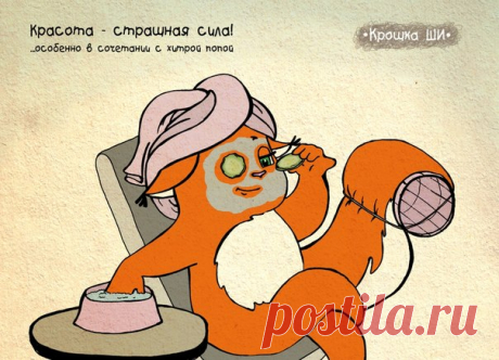 Крошка Ши (Часть 2)