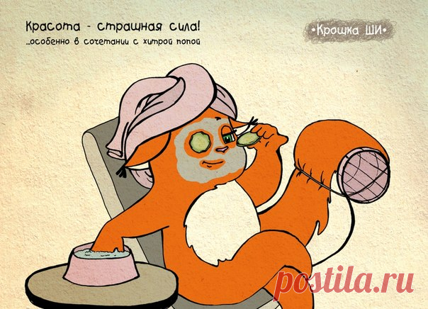 Крошка Ши (Часть 2)