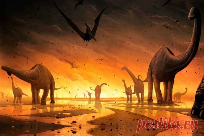 Extinciones masivas: tipos, consecuencias y periodos Te contamos la historia de la Tierra y las grandes extinciones masivas que han existido en el planeta. Conoce más aquí.