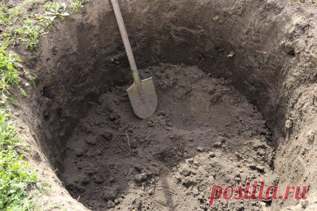 Правила ухода за колодцем – важно знать | Полезно (Огород.ru)