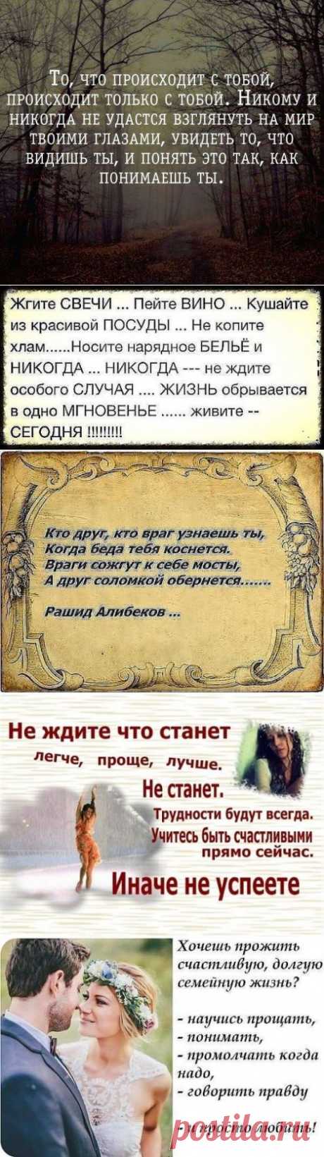 Прошу вас, люди - берегите ЖИЗНЬ, Цените каждое прошедшее мгновенье! Она хрупка... И как осенний лист... Сорвется, вдруг, и улетит в кружении...﻿