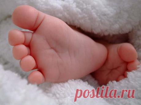 Школа раннего развития