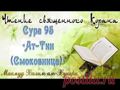 Учебное чтение Корана. 95 Сура «Ат-Тин (Смоковница)»