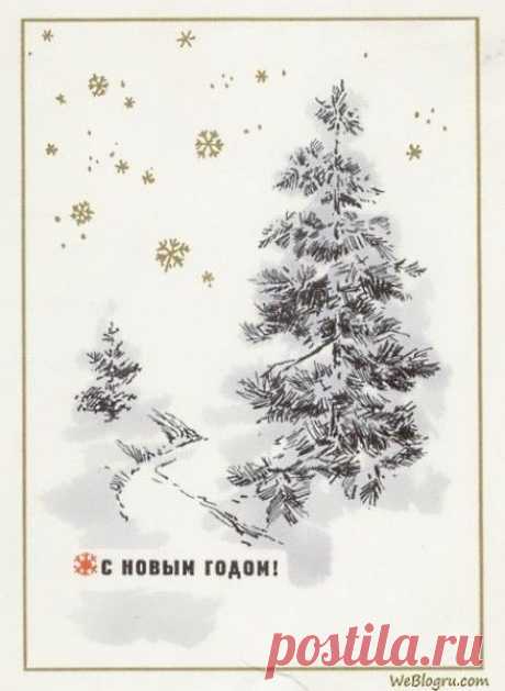 Художник Н. Е. Круглов, 02.09.1967г.