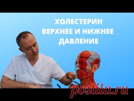 Что означает холестерин, верхнее и нижнее давление?