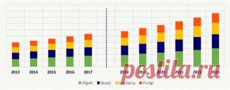 How is Rising Consumption of Protein Fuelling Progress of Protein Extracts from Single Cell Protein Sources Market?