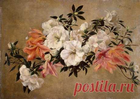 Henri Fantin-Latour (1836 - 1904)

Petunias
1881
Hermitage, St. Petersburg﻿