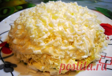 Дневник Ира_Шин