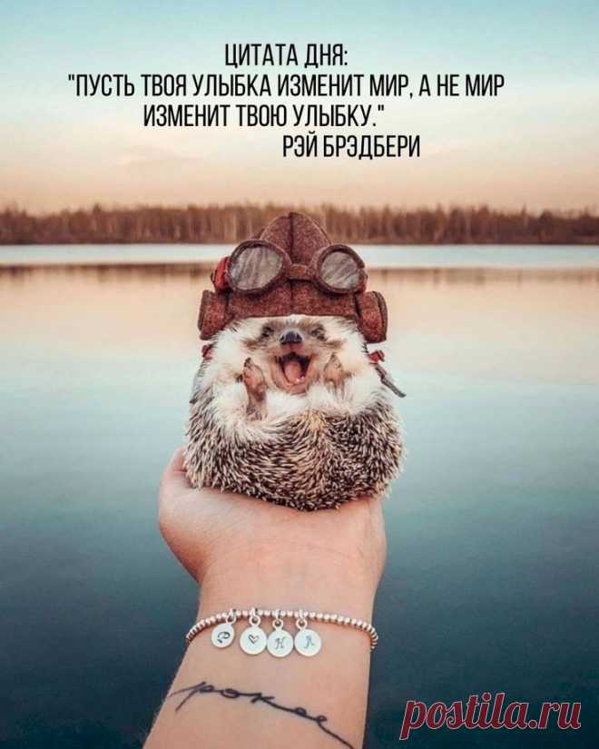 Выпуск №6388 - выпуск анекдотов сайта вокруг смеха