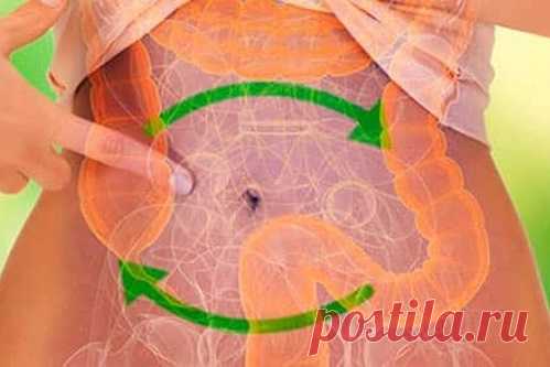 Мягкая очистка кишечника: удаляем все вредное, худеем и оздоравливаемся!