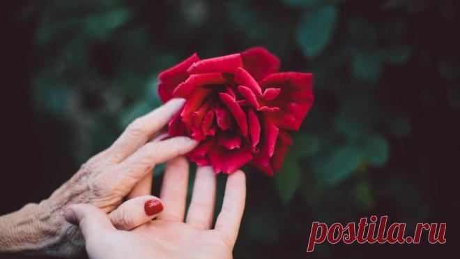 Мудрые мысли о смысле жизни на все времена
Этот спич известный писатель-сатирик Курт Воннегут произнес в 1955-м году перед выпускниками...
Читай дальше на сайте. Жми подробнее ➡