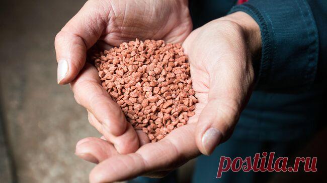 Россия и Индонезия обсудили наращивание поставок минеральных удобрений