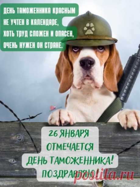 Картинки на Международный день таможенника: прикольные поздравления в открытках