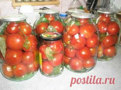 Маринованные помидоры на зиму, ну очень вкусные : Помидоры