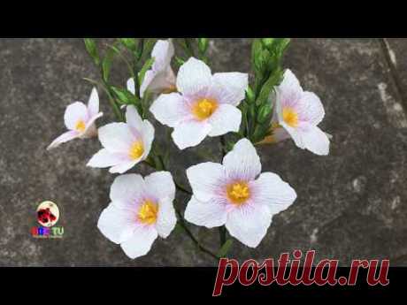 ABC TV | How To Make Nierembergia Scoparia Flower From Crepe Paper - Craft Tutorial