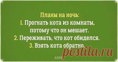20 открыток о том, каково это - быть хозяином кота: ↪