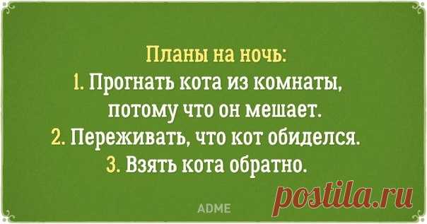 20 открыток о том, каково это - быть хозяином кота: ↪