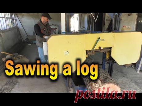 Как распилить бревно ореха