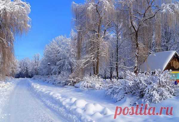 Николай,Зинаида Кузьмины - Шелехов, Иркутская обл., Россия на Мой Мир@Mail.ru