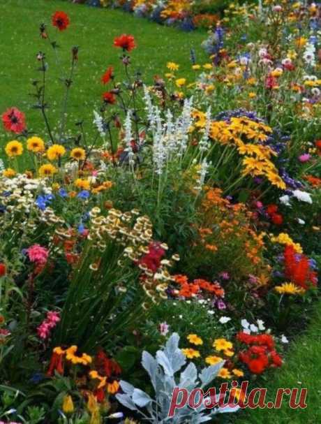 Красота природы!