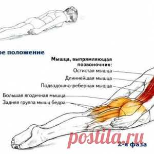 Простое упражнение для профилактики болезней спины