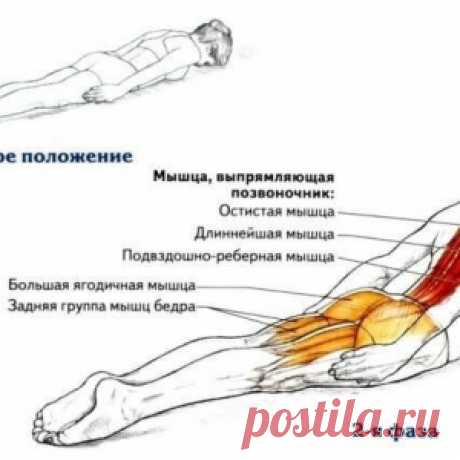 Простое упражнение для профилактики болезней спины
