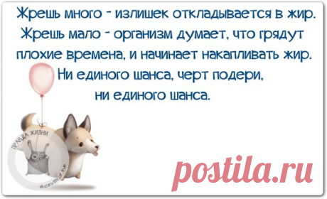 Позитивные фразочки в прикольных картинках