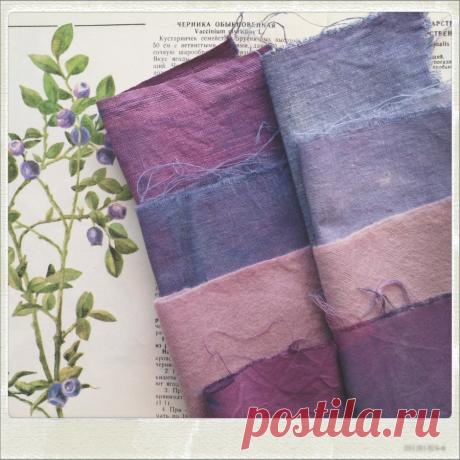 blackberry colors - Feel the sun shinin'