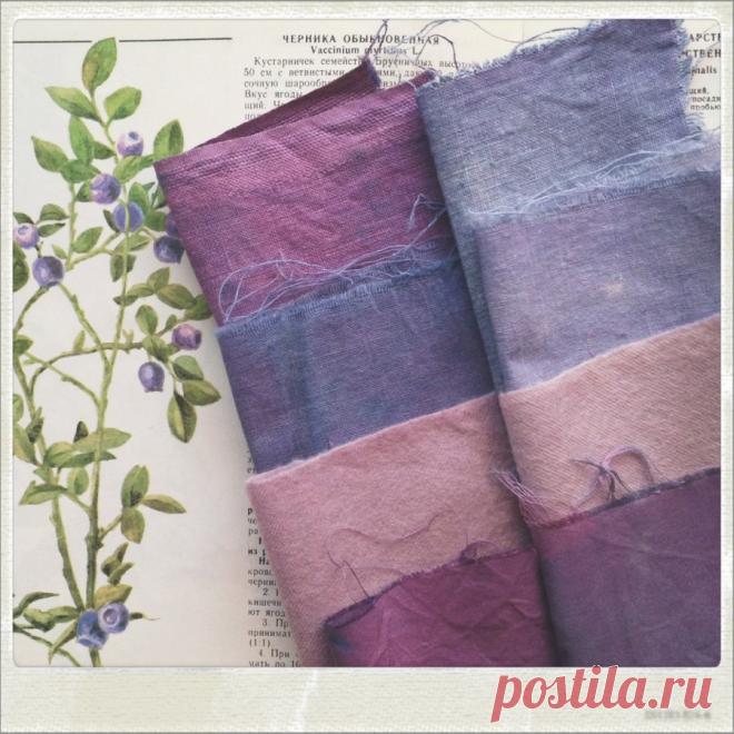 blackberry colors - Feel the sun shinin'