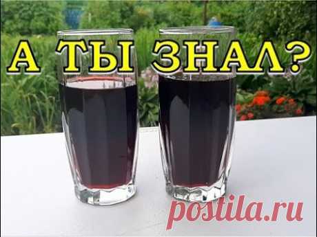 Домашнее ВИШНЕВОЕ ВИНО. Самый вкусный рецепт🍒👍👍👍